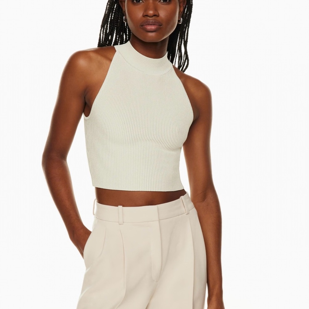Aritzia Babaton Sculpt Mockneck Halter Top